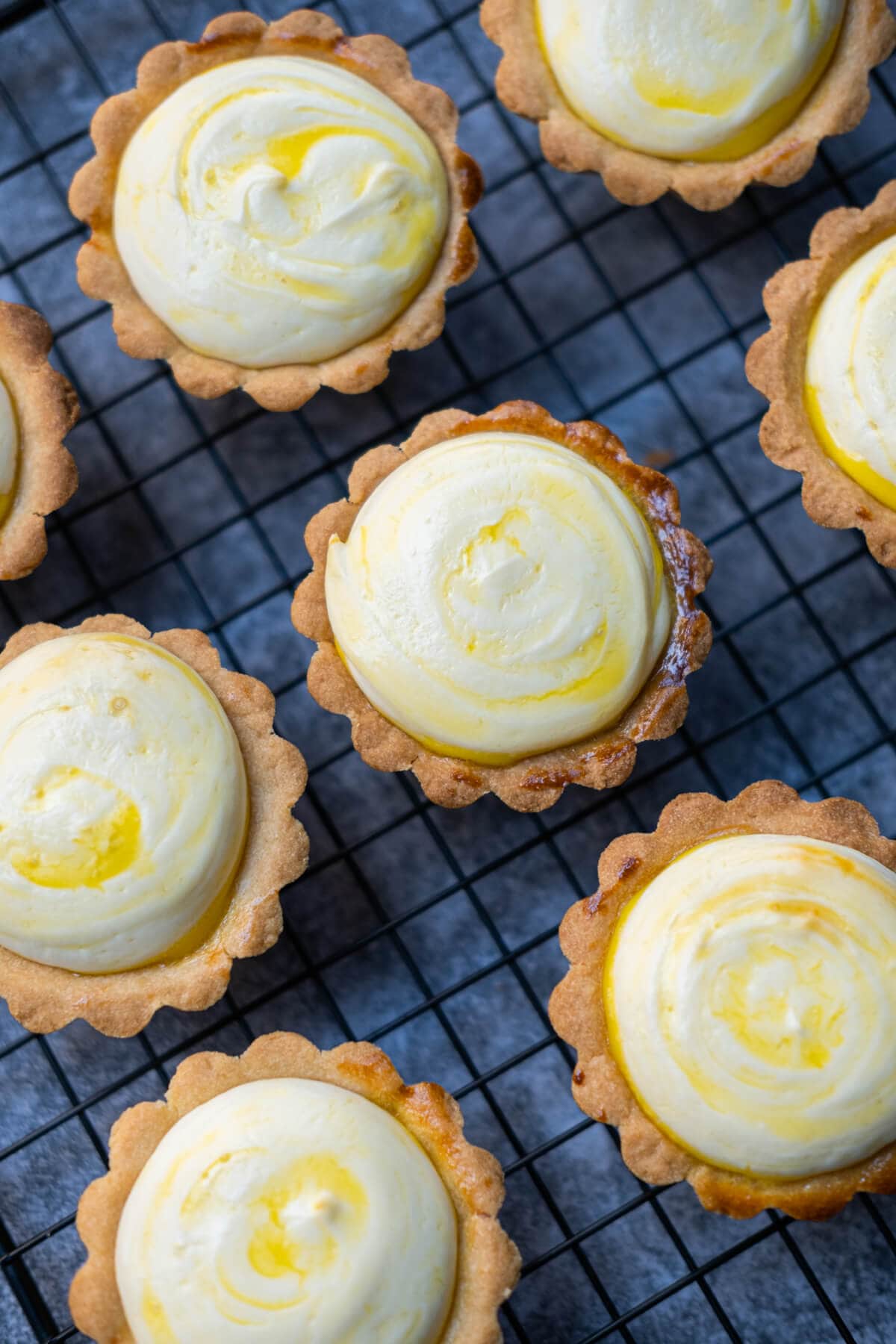 Baked cheese tarts, featuring a golden-brown crust and a creamy cheese filling. 